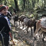 Photo taken by matthew h