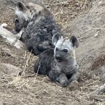 Photo taken by Kolla S