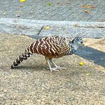 Photo taken by Cindy R