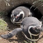 Photo taken by Marcia R