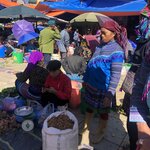 Photo taken by Jayne S