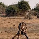 Photo taken by Janie W