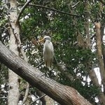 Photo taken by Wouter K