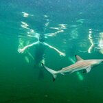 Photo taken by Katherine A