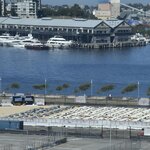 Photo taken by Linnaea M