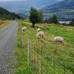 Photo taken by Tamara N