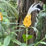 Photo taken by Dixie W