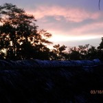 Amazing sunrise over the Napo river | Photo taken by Katrina H