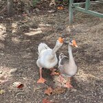 Photo taken by Ben B