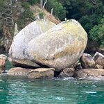 Photo taken by Dan U