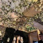 Photo taken by Lynn K