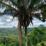 Photo taken by Luke T