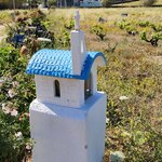 Photo taken by Sharon K