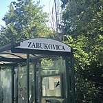 Photo taken by Jacci Z