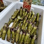 Photo taken by Mallory A