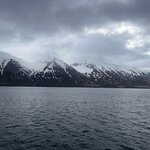 Photo taken by Sue M