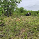 Photo taken by Yin Ling K