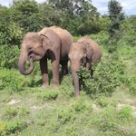 Photo taken by Dineia P