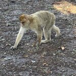 Photo taken by Sarah B