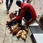 Photo taken by Cynthia F