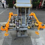 Photo taken by Lisa G