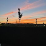 Photo taken by Stephanie Y