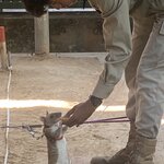 Photo taken by Cheri H