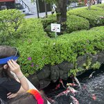 Photo taken by Sarah S