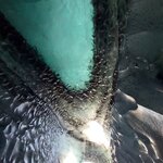 Photo taken by Marsha B