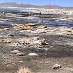 Photo taken by Shirley S