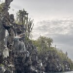 Photo taken by Ben S