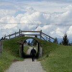 Photo taken by Laura H