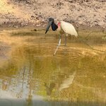 Photo taken by Kakoli K