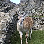 Photo taken by Kristin T