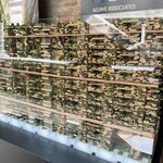 Photo taken by Amanda F