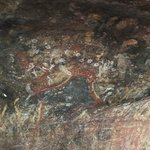 Photo taken by Alfredo H