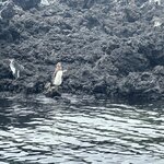 Photo taken by Mark A