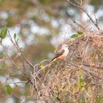 Photo taken by Graeme W