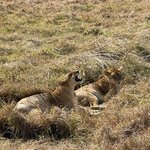 Photo taken by Julien C