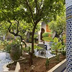 Photo taken by Donna F