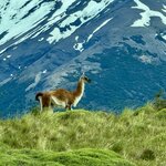 Photo taken by carlos d