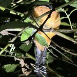 Photo taken by Bonnie Y