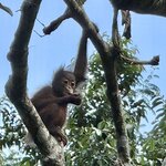 Photo taken by Edit M