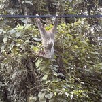 Photo taken by JULIE M