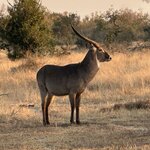 Photo taken by Tom B