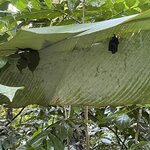 Photo taken by Blair H