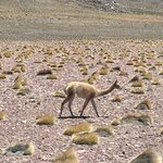 Photo taken by Eric H