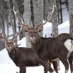 Photo taken by Iain M