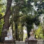 Photo taken by Kristen M