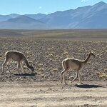 Photo taken by lynn o